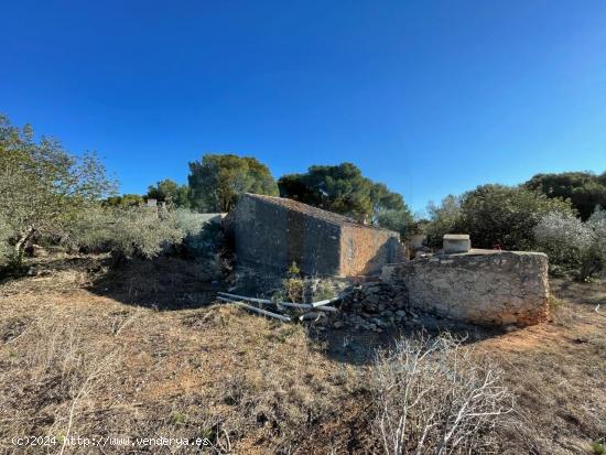  Tu Refugio Único: Masía de Piedra en el Paraíso Mediterráneo  - TARRAGONA