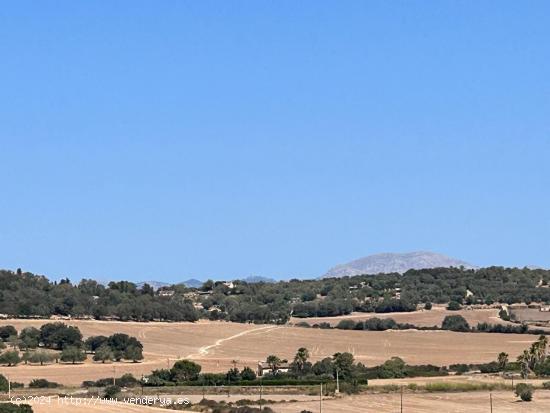 Magníficos terrenos rústicos en Sineu - BALEARES