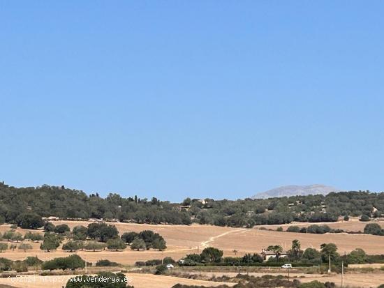 Magníficos terrenos rústicos en Sineu - BALEARES