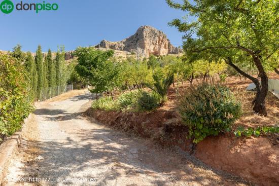 PARCELA EN COGOLLOS DE LA  VEGA - GRANADA