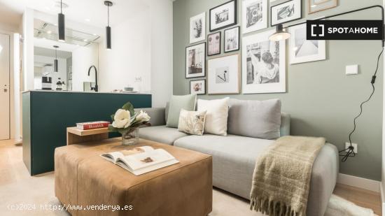 Apartamento entero de 1 habitaciones en Madrid - MADRID