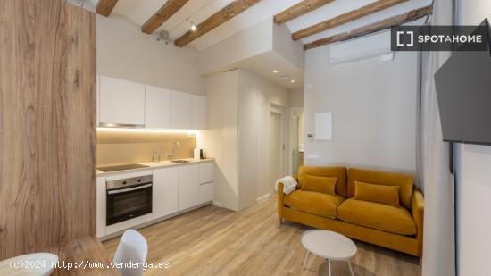 Apartamento de 1 dormitorio en alquiler en El Barri Gotic, Barcelona - BARCELONA