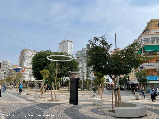 Local comercial en zona centro de Benidorm - ALICANTE