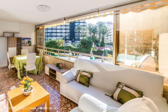 SE VENDE APARTAMENTO EN BENIDORM DE DOS DORMITORIOS - ALICANTE