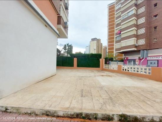 Local comercial en Benidorm. - ALICANTE