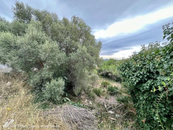 GRAN TERRENO CON VISTAS!!! - TARRAGONA