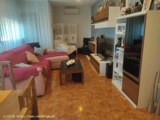 VIVIENDA EN PLANTA BAJA DE 3 DORMITORIOS EN ZONA S.U.P. 2 - ALBACETE