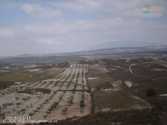 TERRENO RUSTICO  de 30.000 m CERCANO A CAMPOSOL - MURCIA