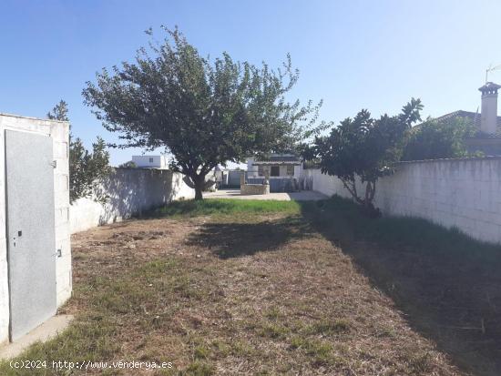 VENTA DE PARCELA CON CASA DE CAMPO - CADIZ