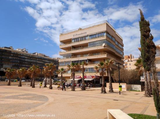 ALQUILER DE VERANO - MALAGA