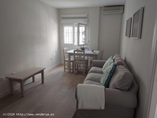  APARTAMENTO EN ALQUILER ANUAL EN EL CENTRO DE EL PUERTO DE SANTA MARIA - CADIZ 