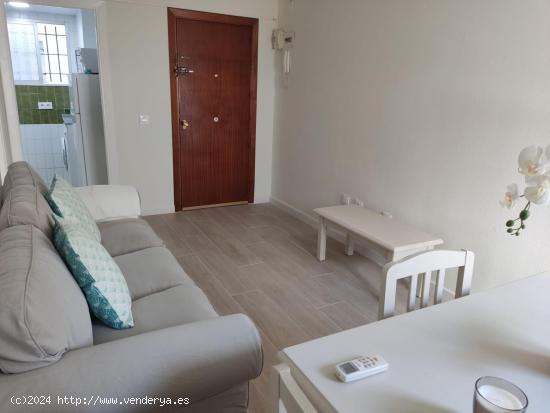 APARTAMENTO EN ALQUILER ANUAL EN EL CENTRO DE EL PUERTO DE SANTA MARIA - CADIZ