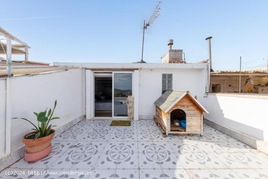 CINE DE VERANO EN UNA GRAN TERRAZA - BARCELONA