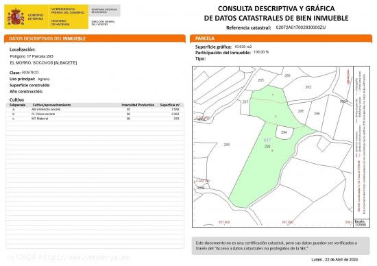  Terreno secano en Socovos - ALBACETE 