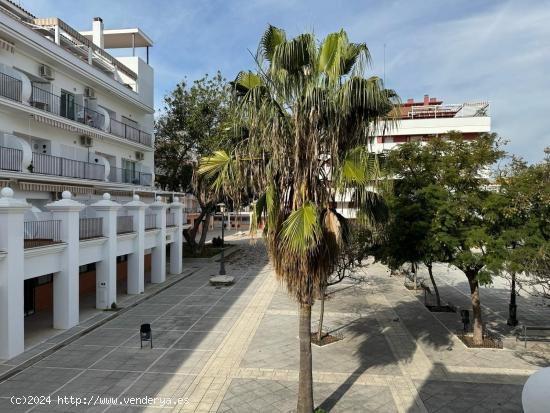 MAGNIFICA CASA INDEPENDIENTE EN ZONA CENTRO (PLAZA LAS INFANTAS) - CADIZ