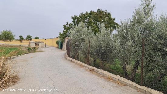 FINCA ECOLÓGICA A UNOS MINUTOS DEL PTS - GRANADA