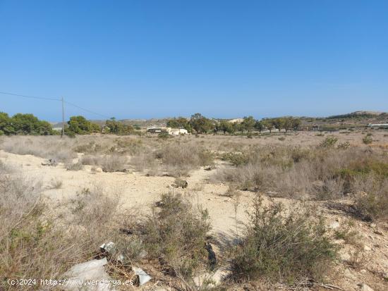 Casa para reformar con amplio terreno  + almacen independiente - ALICANTE