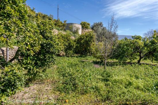  TERRENITO LOS NARANJOS A LA VENTA!!!!!!!!! - GRANADA 