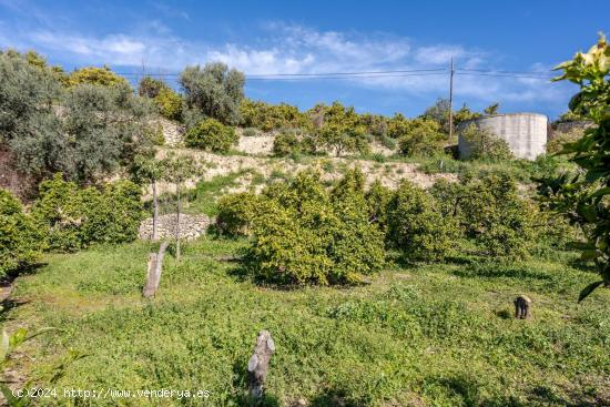 TERRENITO LOS NARANJOS A LA VENTA!!!!!!!!! - GRANADA