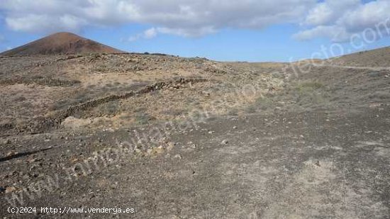 SE VENDE Parcela/Finca en Venta en Guatiza - Teguise