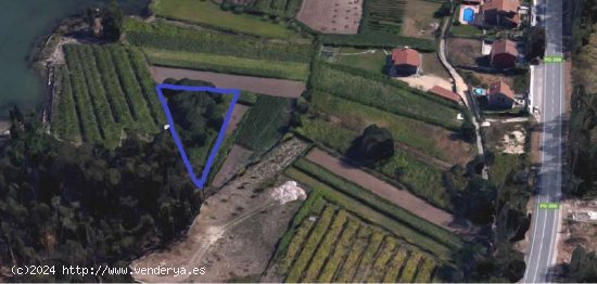  SE VENDE Parcela/Finca en Venta en O Terron - Vilanova de Arousa 