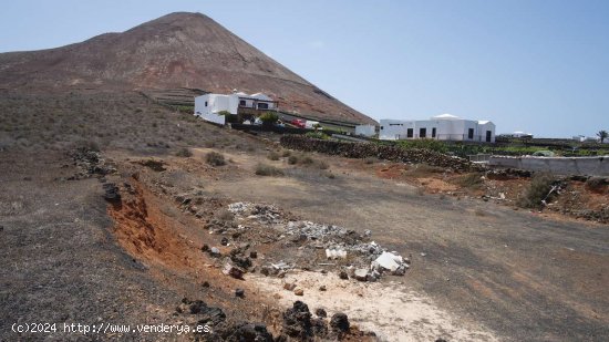 SE VENDE Parcela Urbana en Tinajo con 10,000m2 de terreno rústico - Tinajo