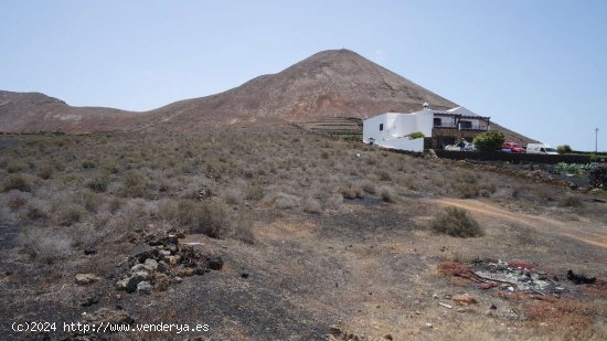 SE VENDE Parcela Urbana en Tinajo con 10,000m2 de terreno rústico - Tinajo