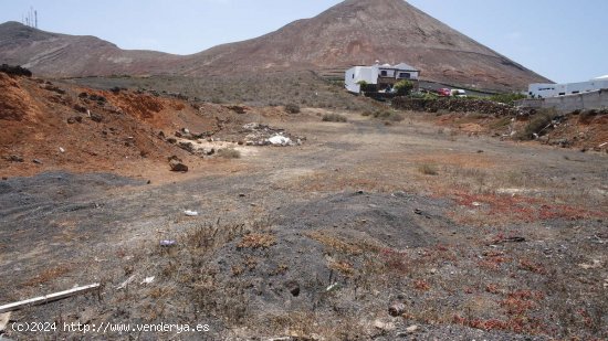 SE VENDE Parcela Urbana en Tinajo con 10,000m2 de terreno rústico - Tinajo