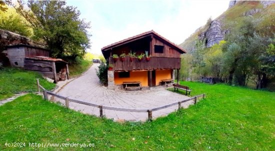 Casa de pueblo en Alquiler vacacional en Pedrosa, La Cantabria