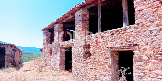 ESPECTACULARES BORDES EN ESTAVILL MAS 5,6 HECTAREAS DE TERRENO