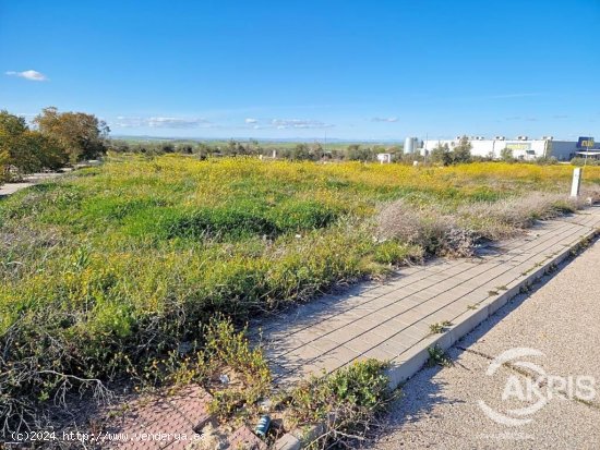  Terreno en venta en Olías del Rey de 250 m2 