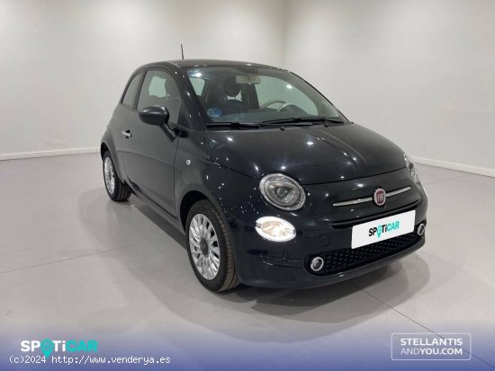 Fiat 500   1.0 Hybrid 51KW (70 CV) Dolcevita - Almería