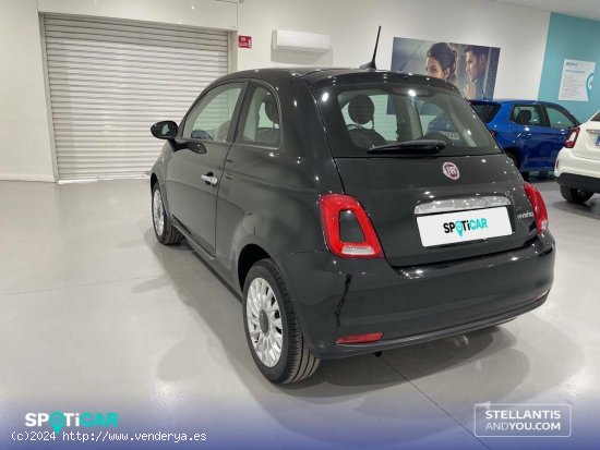 Fiat 500   1.0 Hybrid 51KW (70 CV) Dolcevita - Almería