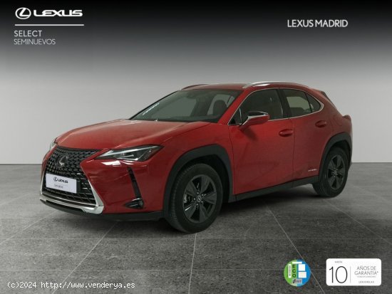  Lexus UX 2.0 250h Business - Madrid 