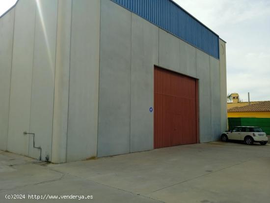 NAVE INDUSTRIAL VENTA EN ALGEZARES - MURCIA