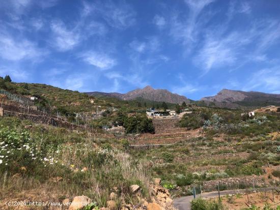  Terreno Guimar - SANTA CRUZ DE TENERIFE 