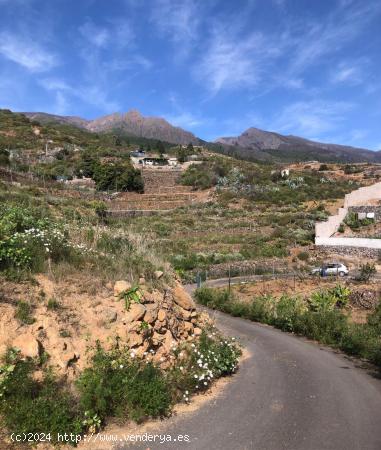 Terreno Guimar - SANTA CRUZ DE TENERIFE