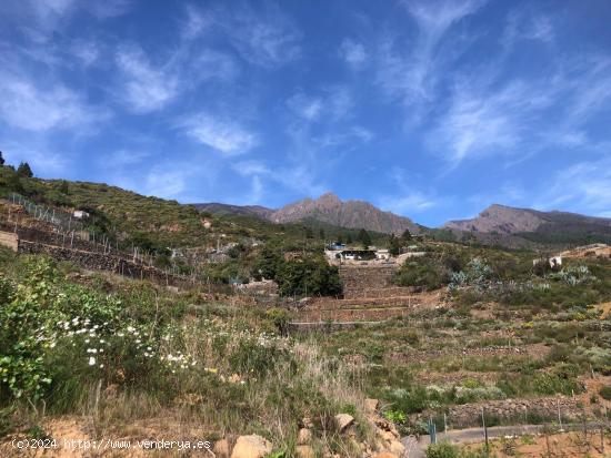 Terreno Guimar - SANTA CRUZ DE TENERIFE