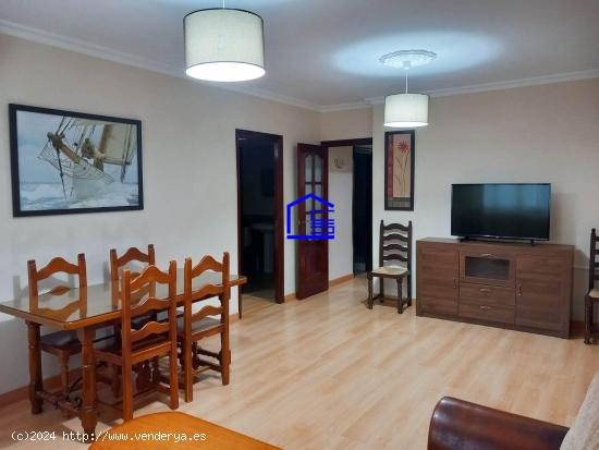 VIVIENDA AMPLIA Y LUMINOSA EN ZONA SAN JOSÉ! - CADIZ