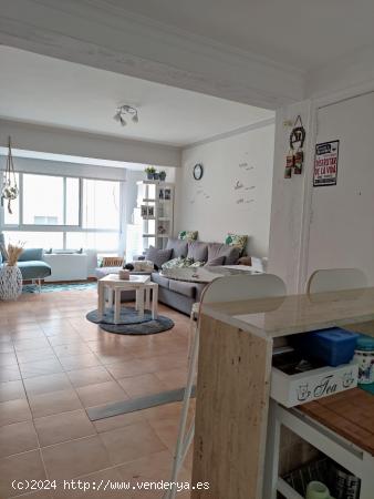 VIVIENDA DE ALQUILER SOLO PARA ESTUDIANTES - CASTELLON