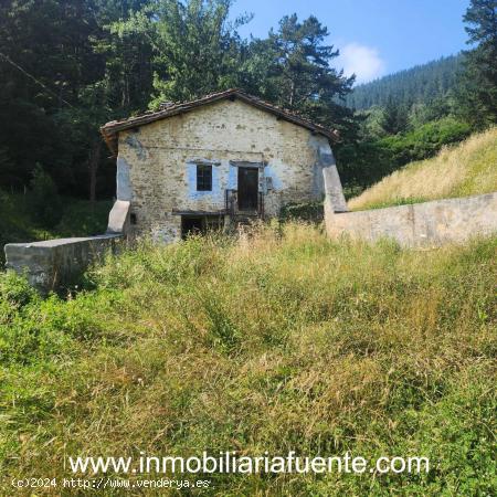 CASERIO PARA REFORMAR CON TERRENO EN ZALLA, PAJAZA. - VIZCAYA