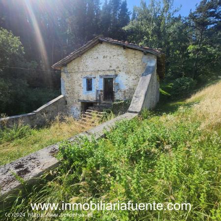 CASERIO PARA REFORMAR CON TERRENO EN ZALLA, PAJAZA. - VIZCAYA