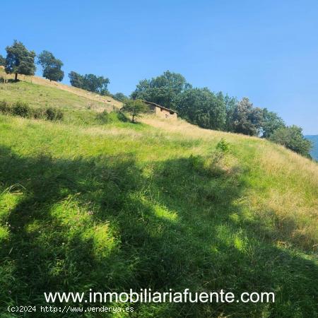 CASERIO PARA REFORMAR CON TERRENO EN ZALLA, PAJAZA. - VIZCAYA