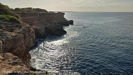 Terreno en primera línea de mar con vistas espectaculares - BALEARES