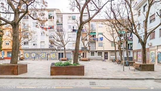 Oficina desarrollada en 2 plantas, situada en la calle Sagrada Familia de Granada. - GRANADA