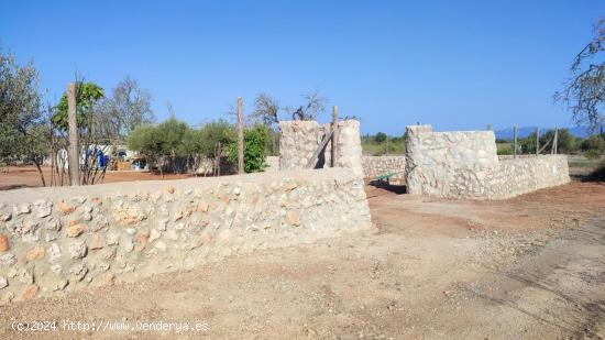  Terreno en Llucmajor - BALEARES 