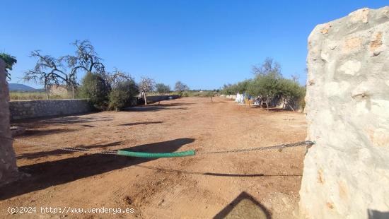 Terreno en Llucmajor - BALEARES