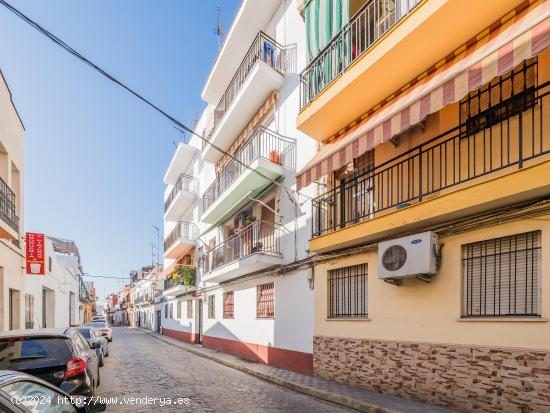 Magnifico Piso en Calle Hornos. Coria del Rio - SEVILLA