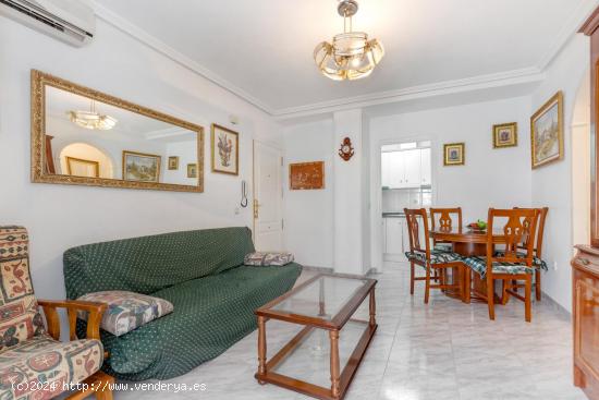 Apartamento de 2 habitaciones + 1 baño + Garaje cerrado en el centro neurálgico de Torrevieja - AL