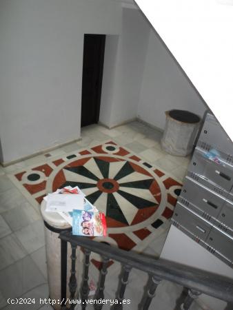 ALQUILER SOLO DE TEMPORADA ( NO ANUAL)- APARTAMENTO EN ZONA PLAZA MINA - CADIZ